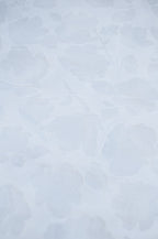 Fuwari White Flower Japanese Enshuku